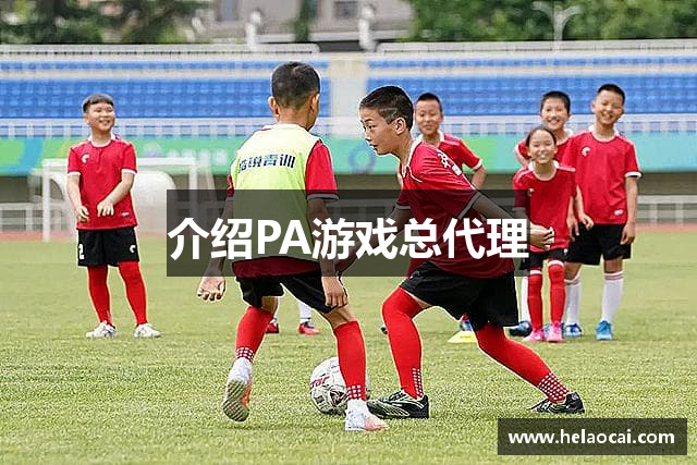 介绍PA游戏总代理